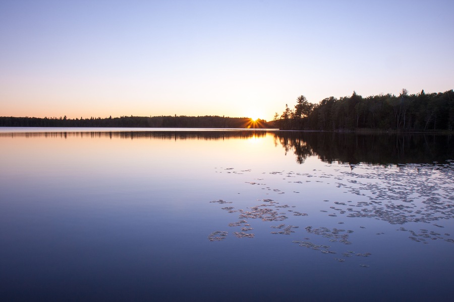 Colorful lake sunset landscape with tree reflection on water and lily pads and lens flare starburst
