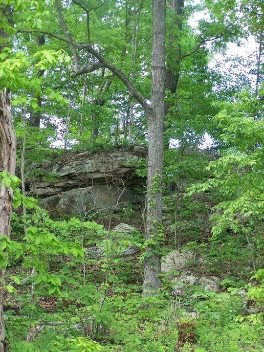 Top of the mountain behind my house. Great afternoon hike. 