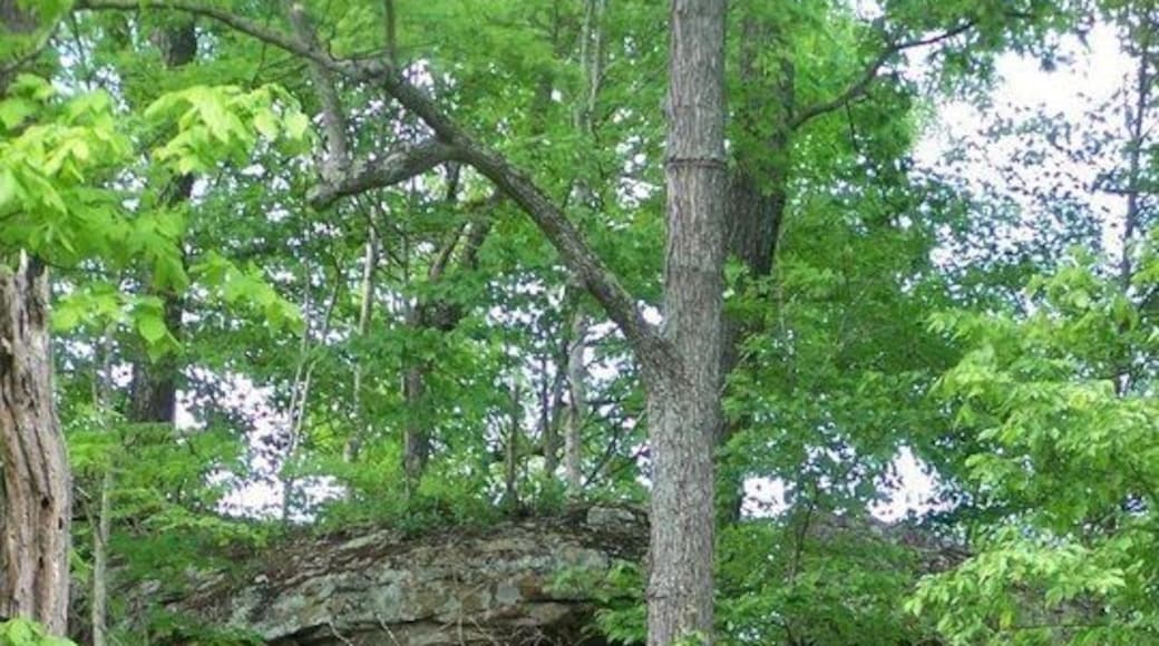 Top of the mountain behind my house. Great afternoon hike.