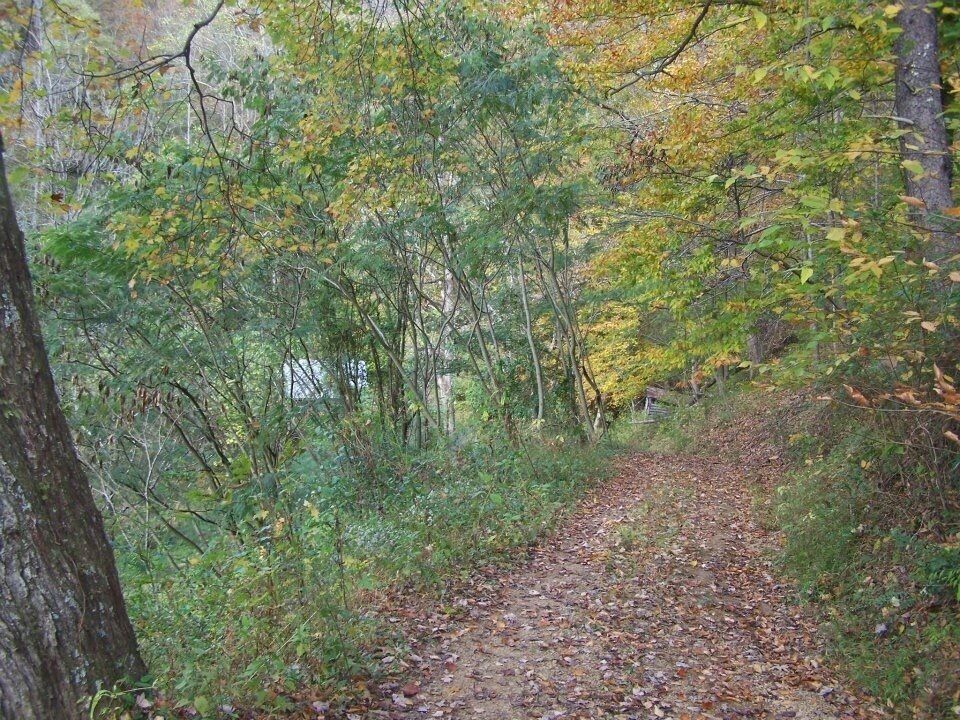 Afternoon hike behind my house. 