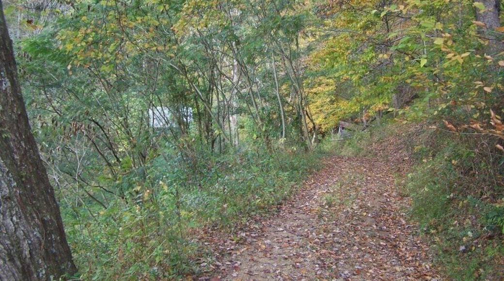 Afternoon hike behind my house.