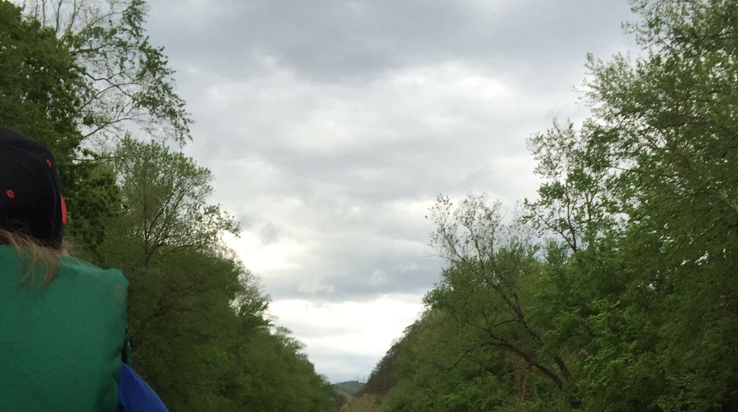 Canoeing on the Big Sandy River, getting ready to go through the Cut Thru.