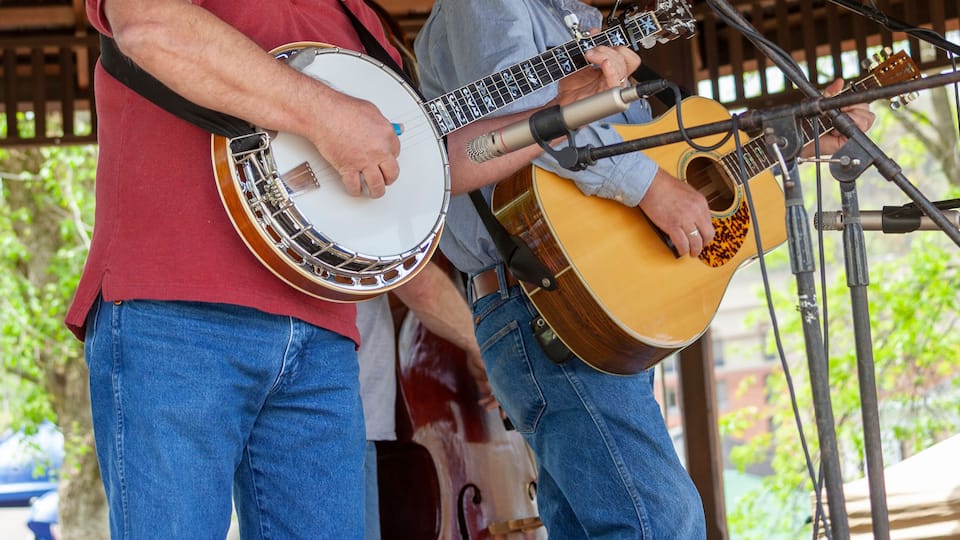 Banjo & Guitar