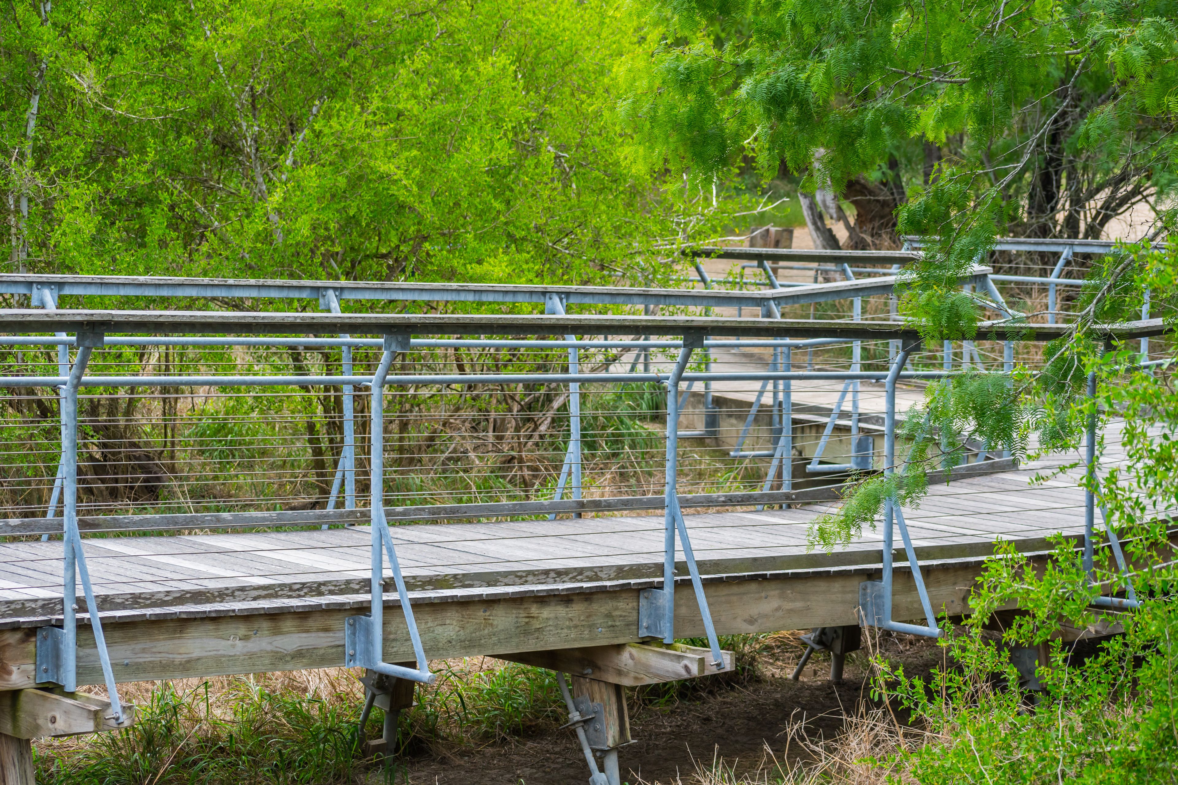 A nature trail boardwalk in Rio Grande Valley State Park, Texas