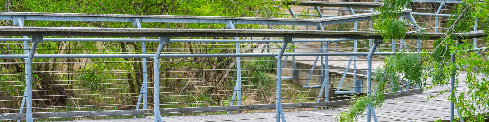 Un puente peatonal con barandillas metálicas y tablones de madera, rodeado de abundante vegetación.
