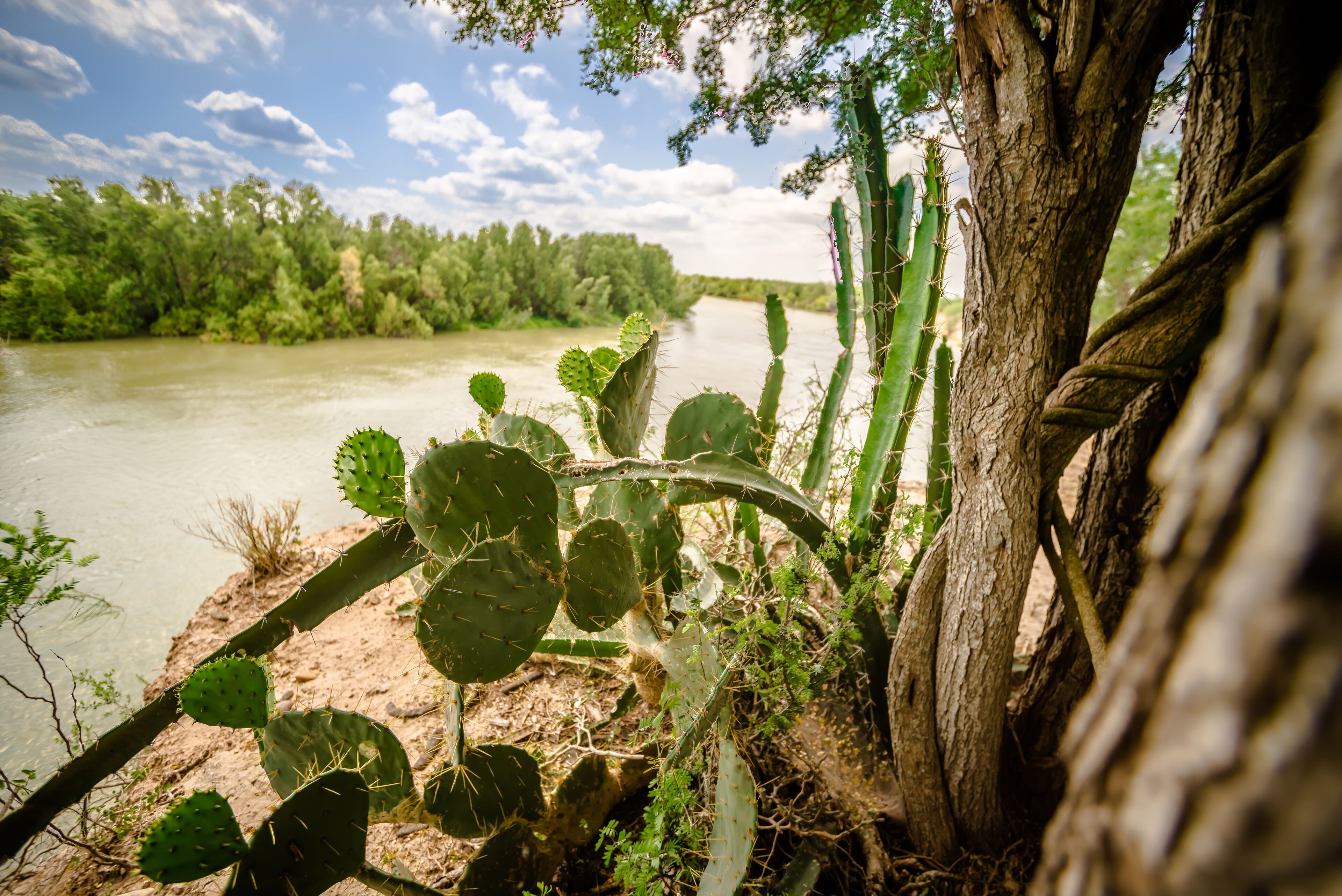 rio grande texas usa mexico border