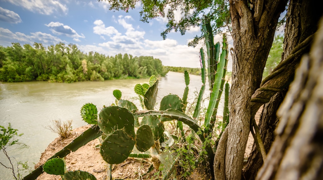 rio grande texas usa mexico border