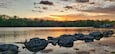 Aerial view of lake surrounded by growing lush green trees in Griggs reservoir park during sunset