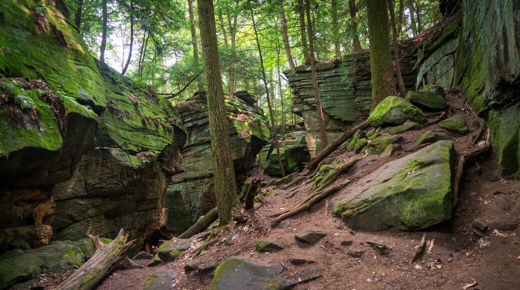 The Ledges at Cuyahoga Valley National Park