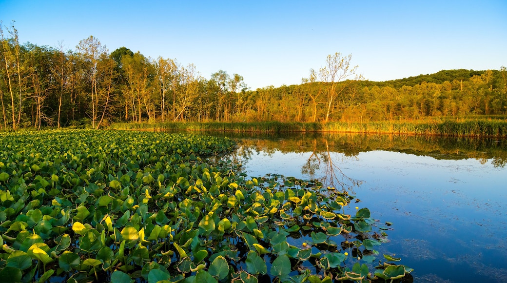 Beaver Marsh in Cuyahoga Valley National Park between Cleveland and Akron