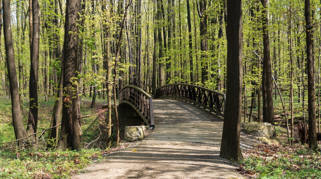 Fallen Timbers Battlefield National Historic Site and Metroparks Toledo in Maumee, Ohio. Battle ended with American victory over Native American and British opponents, and ended Northwest Indian War.