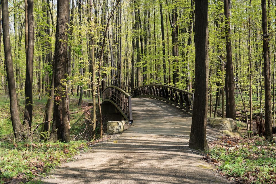 Un área boscosa con un sendero pavimentado y un puente de madera.