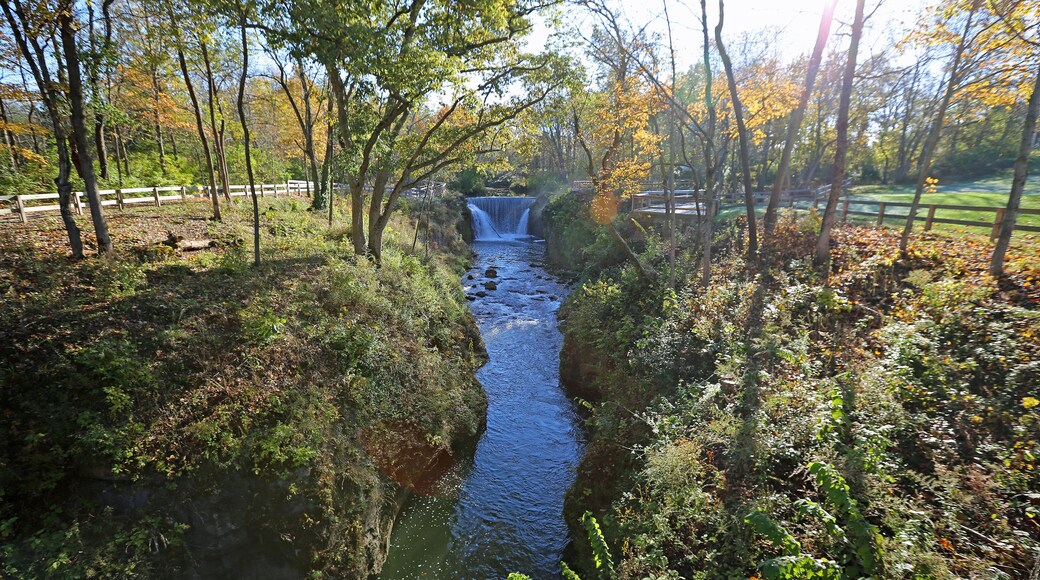 Indian Creek Preserve