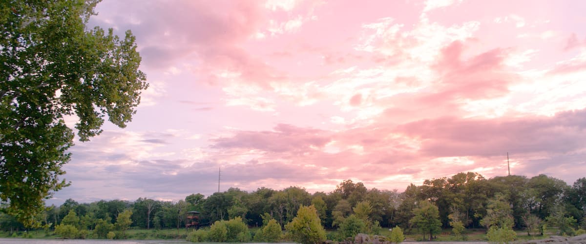 A river with turbulent waters, surrounded by dense green trees and a pinkish sky.