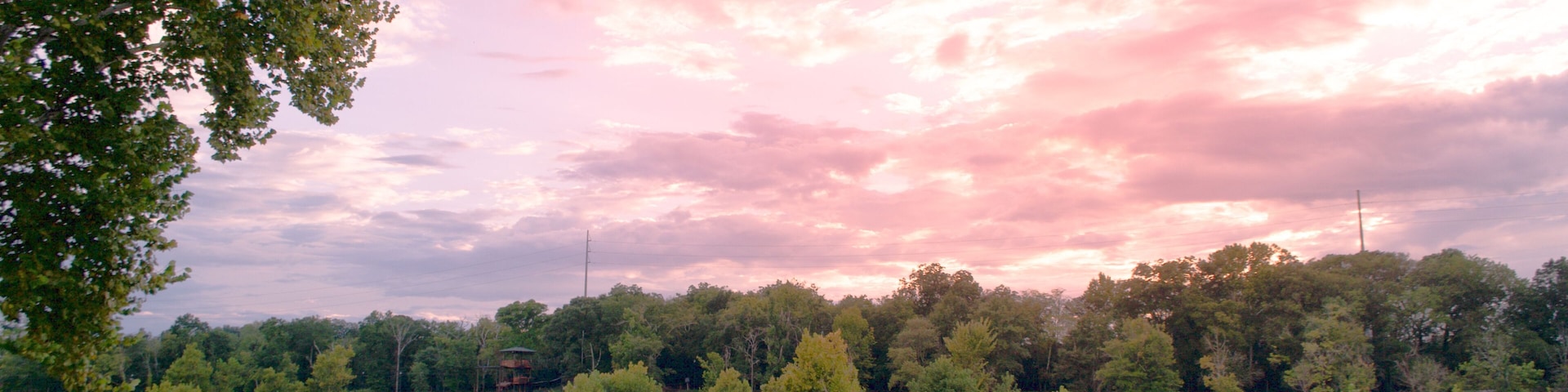 A river with turbulent waters, surrounded by dense green trees and a pinkish sky.