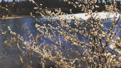 Just another day at duke island!