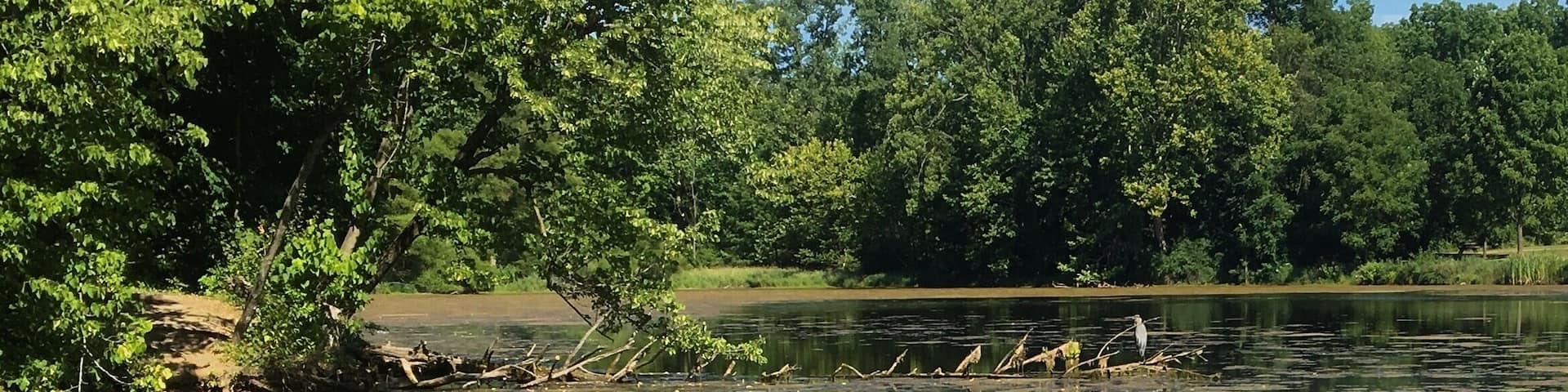 Taking a minute to walk around and decompress after a family visit in Indiana. I found this little gem of a park to stroll around. Lots of flowers and wildlife as well as well marked interpretive trails.
#Blue
#Reflections
#Hiking