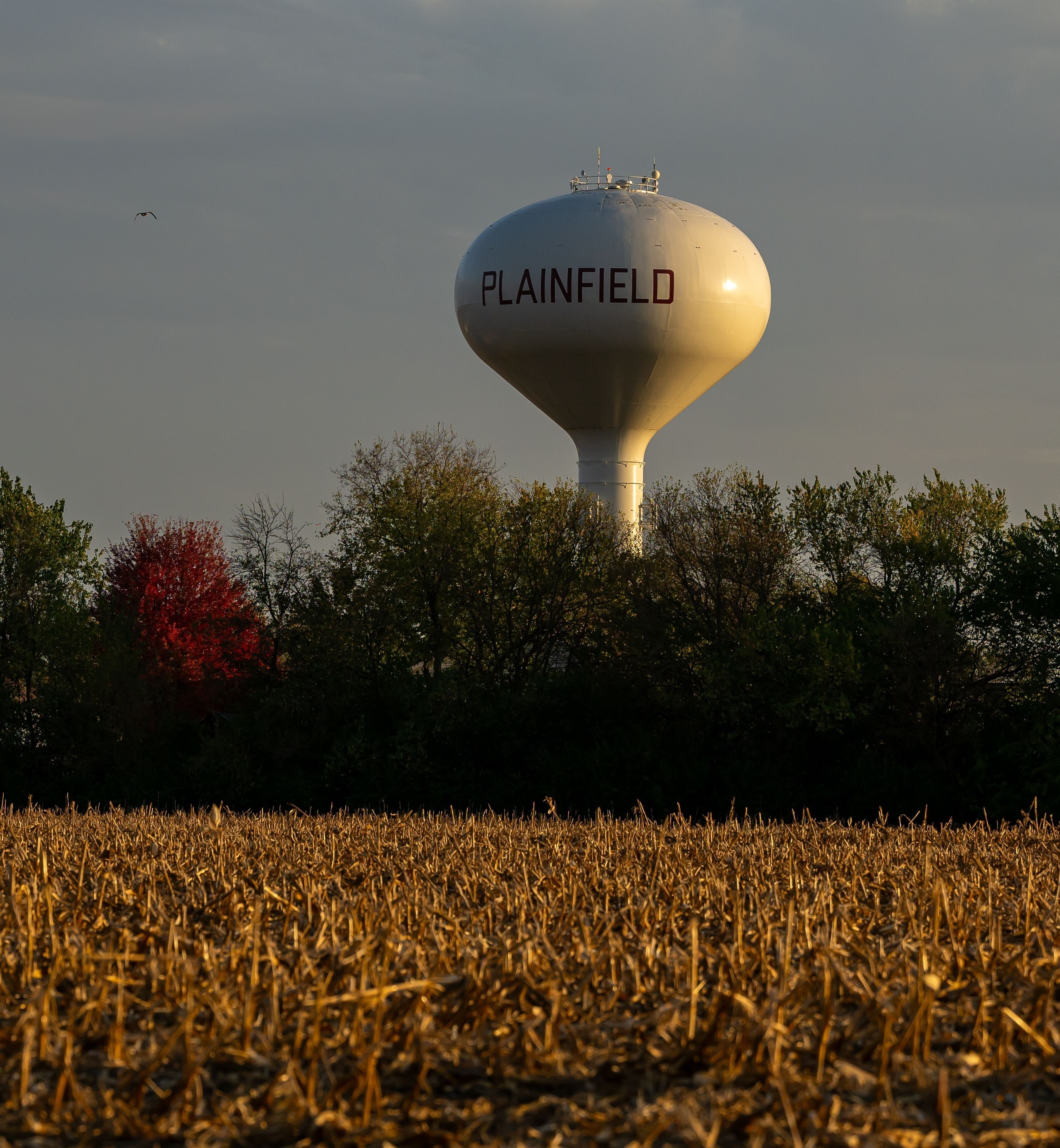 A water tower labeled "Plainfield" in a field with autumn-colored trees.