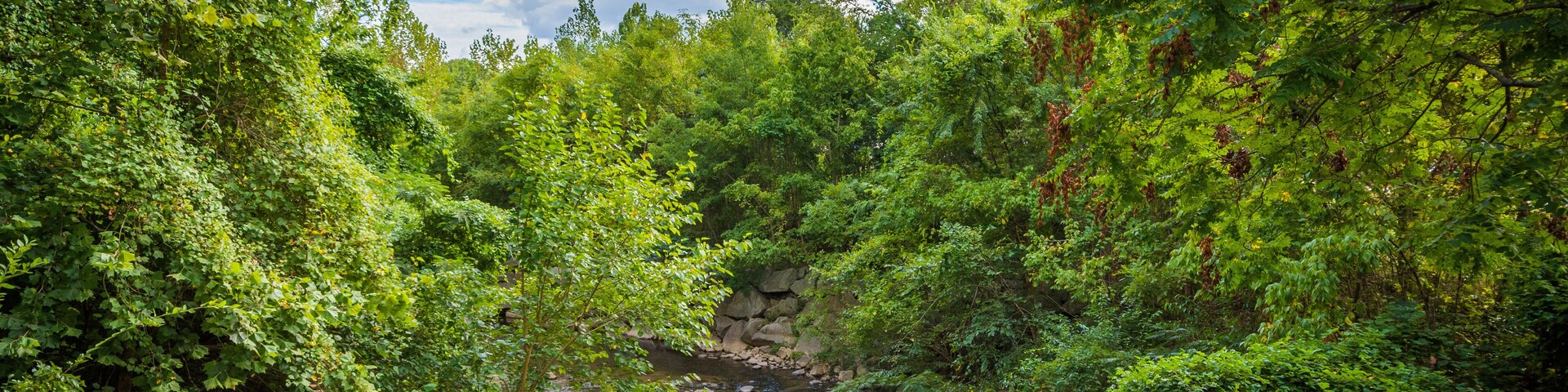 Little Sugar Creek, at Freedom Park, in Charlotte, North Carolin