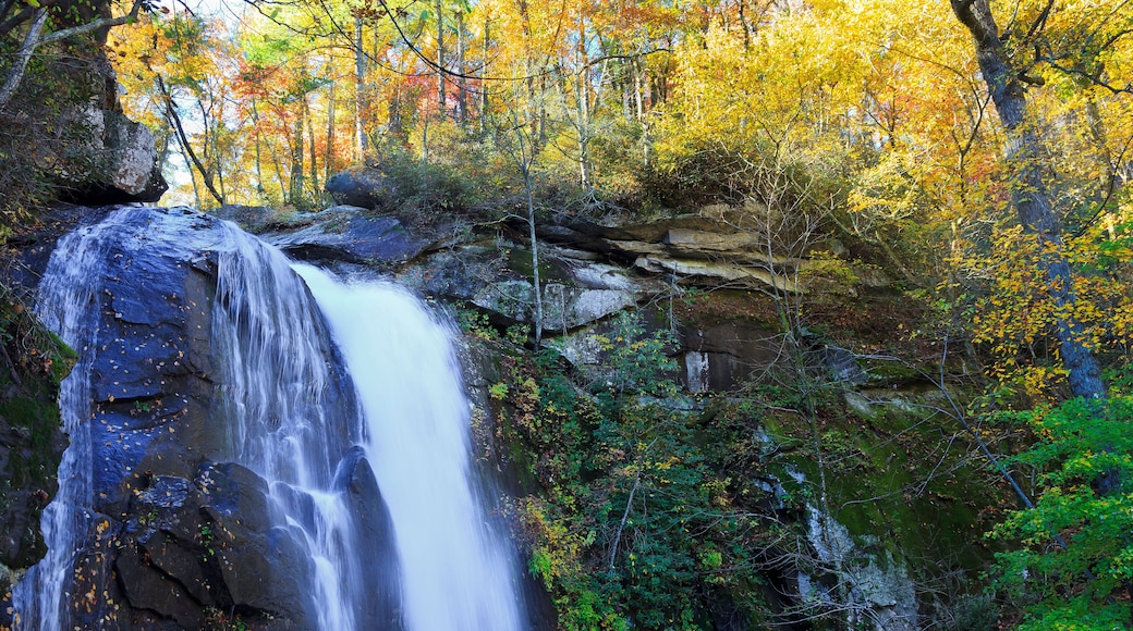 High Falls County Park