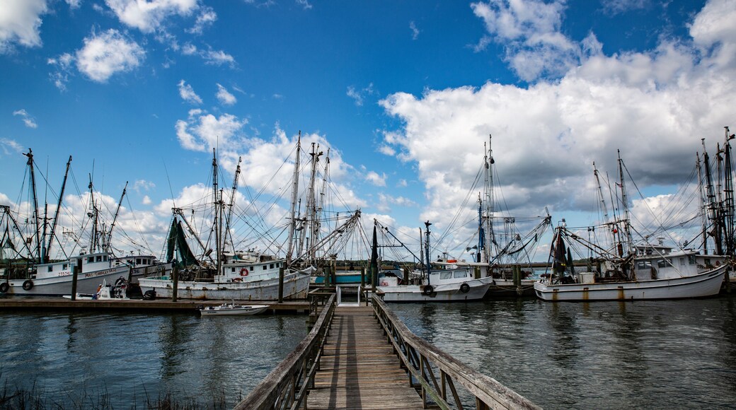 Fripp Island Marina
