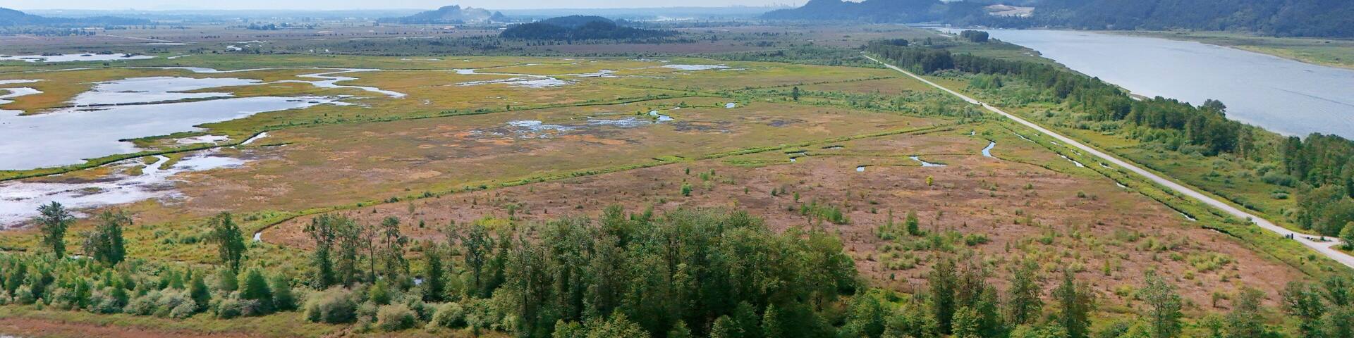 Aerial view of Grant Narrows Regional Park during a spring season in Pitt Meadows, British Columbia, Canada