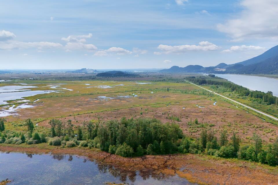 A coastal landscape with a river, wetlands, and a road.