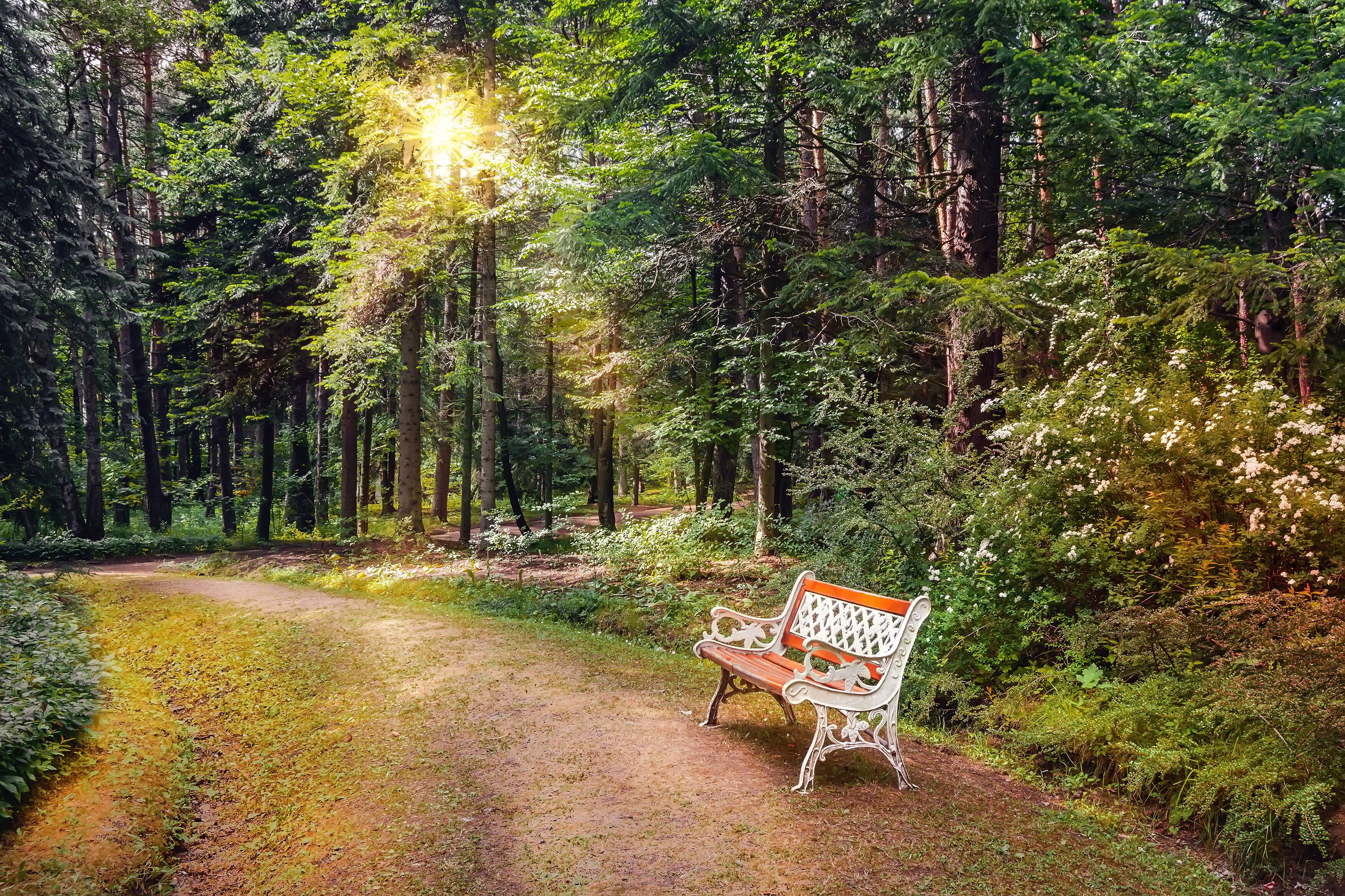 Beautiful vintage bench in retro style in the alley in the dendropark(arboretum). Stepanavan. Armenia