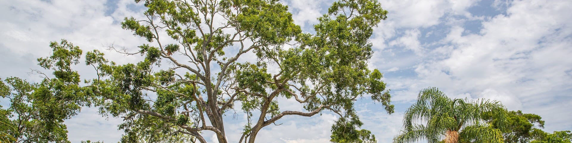 Pinellas Park which includes a garden