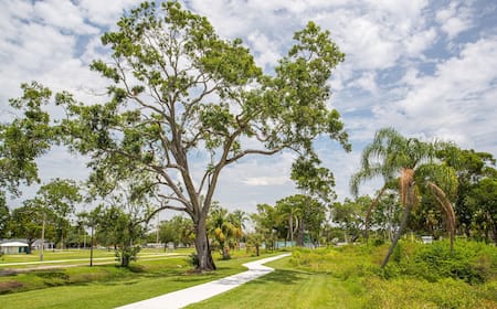 tobacco road pinellas park Etc, 5432 58th St N, Saint Petersburg, FL 33709-2036, US My Sister lives in a