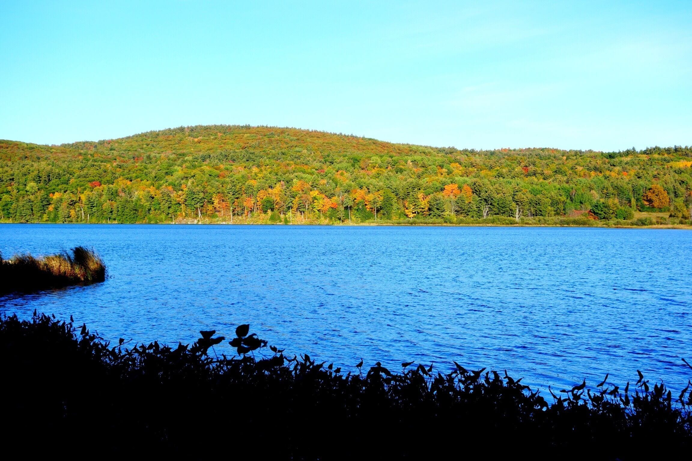 Hiking at Colchester Pond in Colchester, VT USA. #vermont #hiking #foliage #welovetoexplore