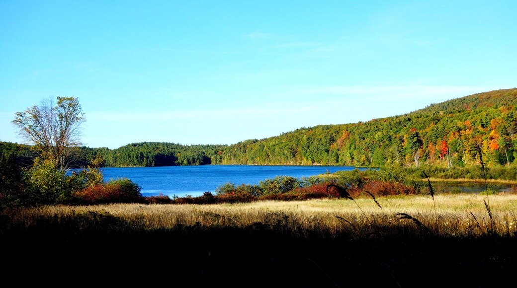 Hiking at Colchester Pond in Colchester, VT USA. #vermont #hiking #foliage #welovetoexplore