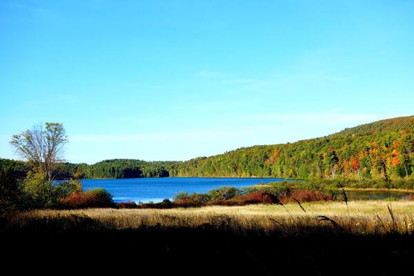 Hiking at Colchester Pond in Colchester, VT USA. #vermont #hiking #foliage #welovetoexplore