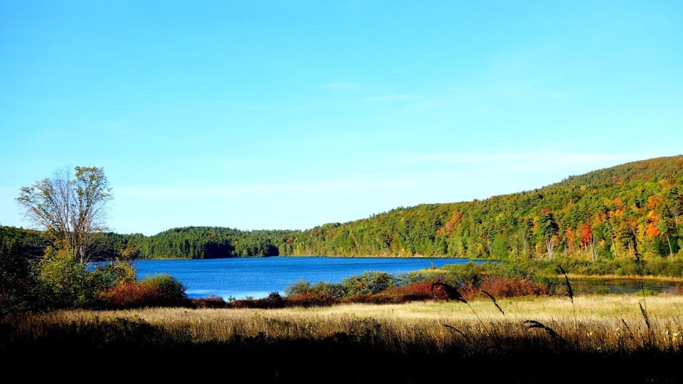 A lake surrounded by autumn-colored trees and a clear blue sky.
