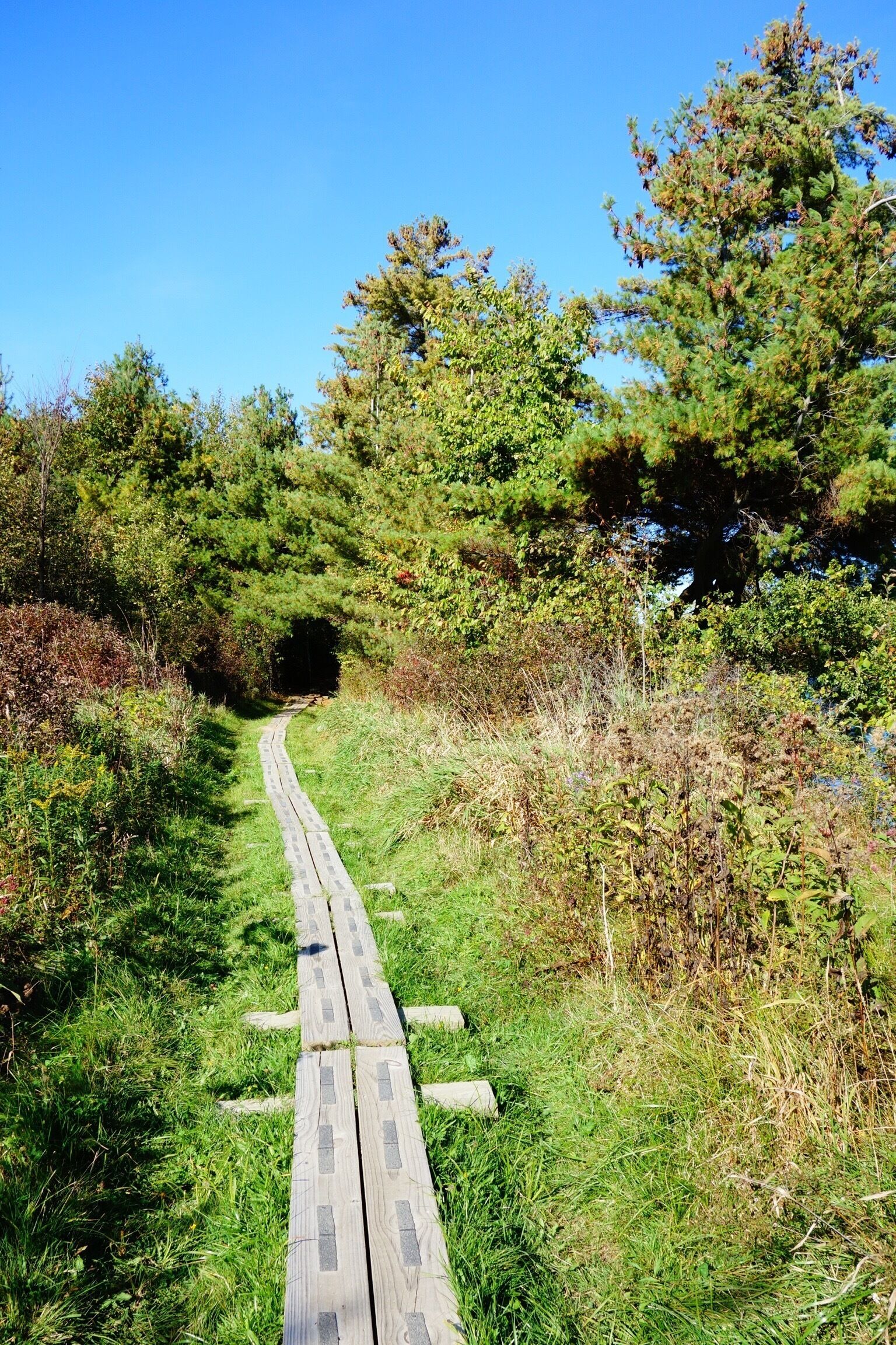 Hiking at Colchester Pond in Colchester, VT USA. #vermont #hiking #welovetoexplore