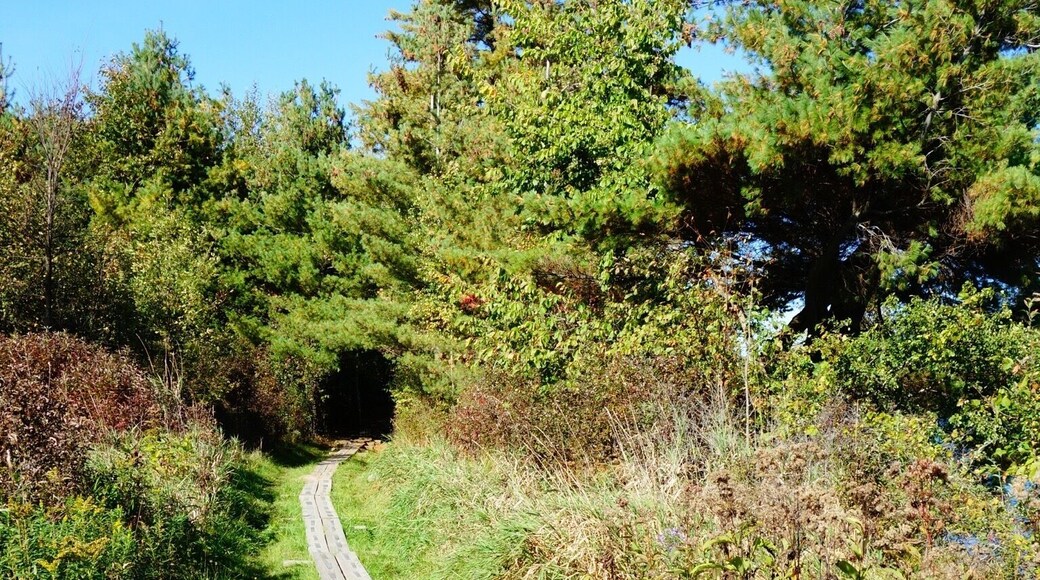 Hiking at Colchester Pond in Colchester, VT USA. #vermont #hiking #welovetoexplore