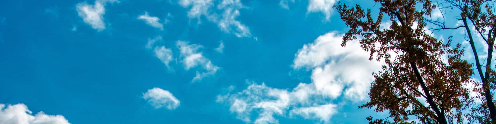 I just saw this spot out of the corner of my eye while I biked past, and I had to stop for a picture
#Trovember