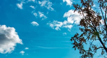 I just saw this spot out of the corner of my eye while I biked past, and I had to stop for a picture
#Trovember