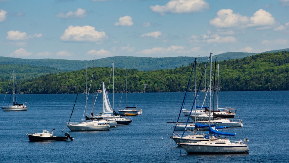 A marina with several sailboats docked in calm waters, surrounded by lush green hills.