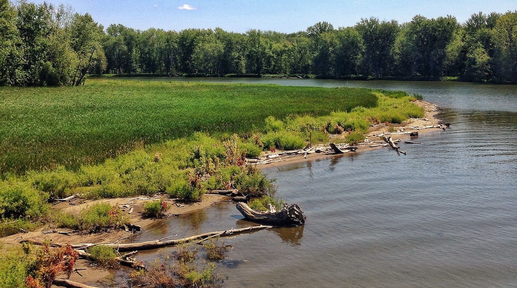 View from the Burlington bike path. We rented bikes from Local Motion and rode 8 miles out to the causeway to see Lake Champlain (then another 8 miles back to the bike shop). The path was flat for the most part which made the ride very comfortable and easy. This was one of the stops along the way. We were hoping to see a moose but no such luck! #burlingtonbikepath #vermont #roadtrip #localmotion #bikevermont #outdoors