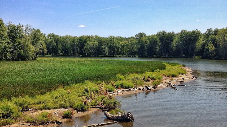 View from the Burlington bike path. We rented bikes from Local Motion and rode 8 miles out to the causeway to see Lake Champlain (then another 8 miles back to the bike shop). The path was flat for the most part which made the ride very comfortable and easy. This was one of the stops along the way. We were hoping to see a moose but no such luck! #burlingtonbikepath #vermont #roadtrip #localmotion #bikevermont #outdoors