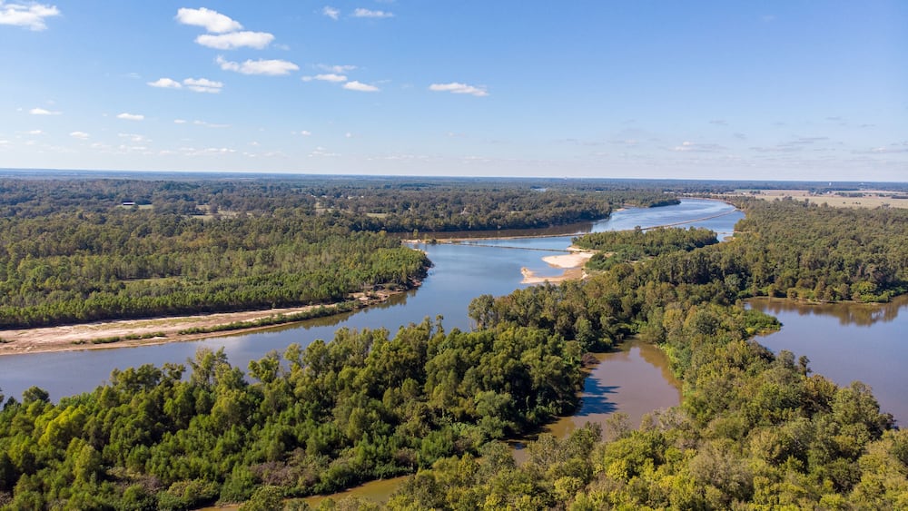 Forest top view drone red river louisiana