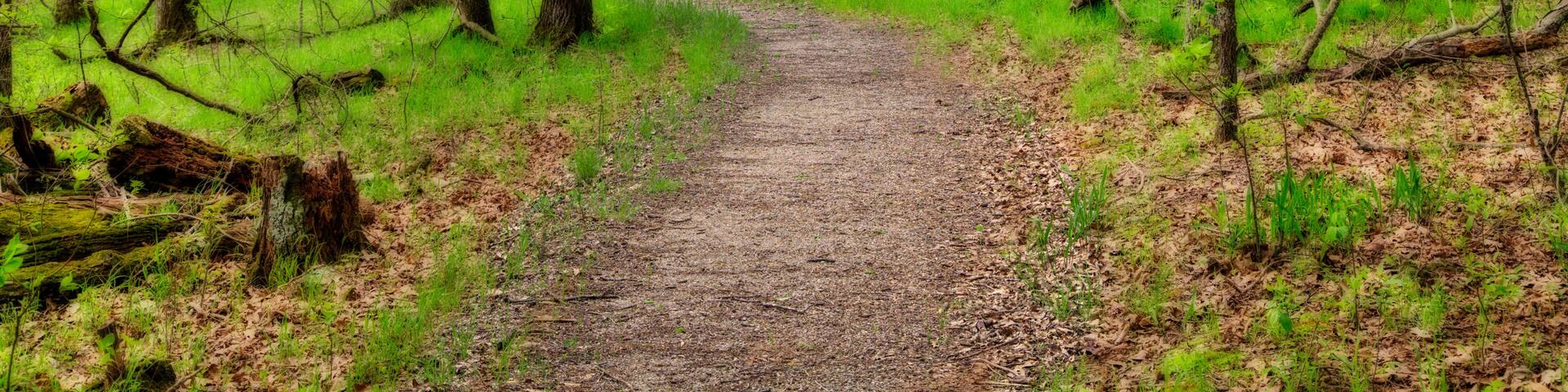 Fawn Ridge Trail. Lake of the Ozark State Park . A trail through the woods makes for an enjoyable walk.