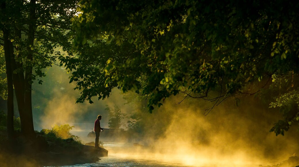 Roaring River State Park near Cassville, Missouri. Known for its trout park and clear river. Campground, conference center and hotel...Photo by Kyle Spradley | © Kyle Spradley Photography