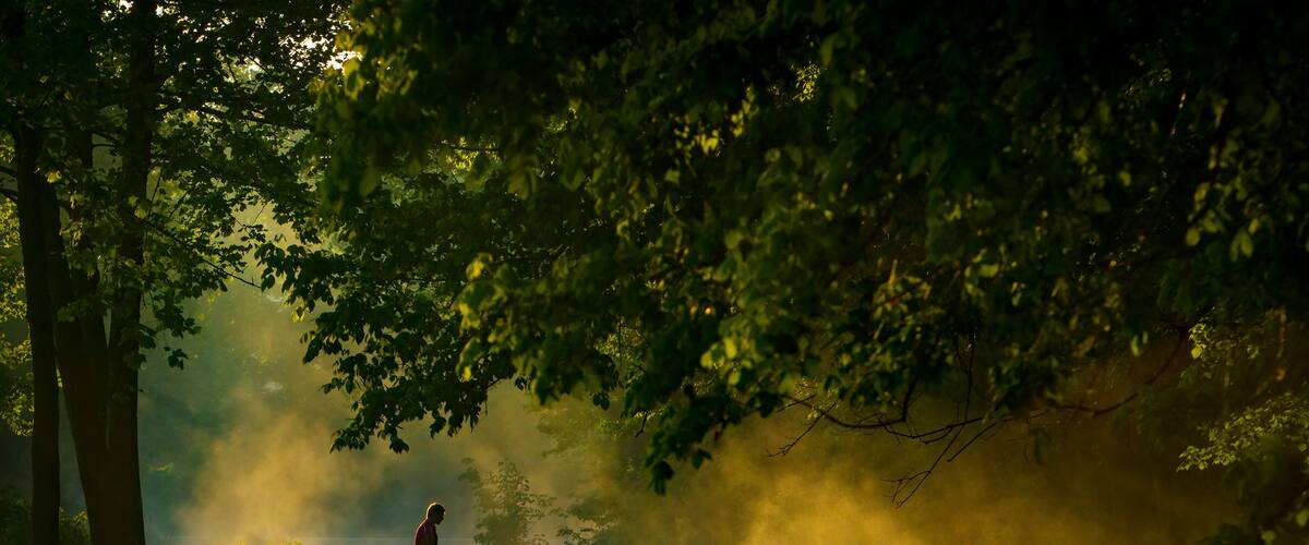 A person standing on rocks by a river with mist and sunlight filtering through trees.