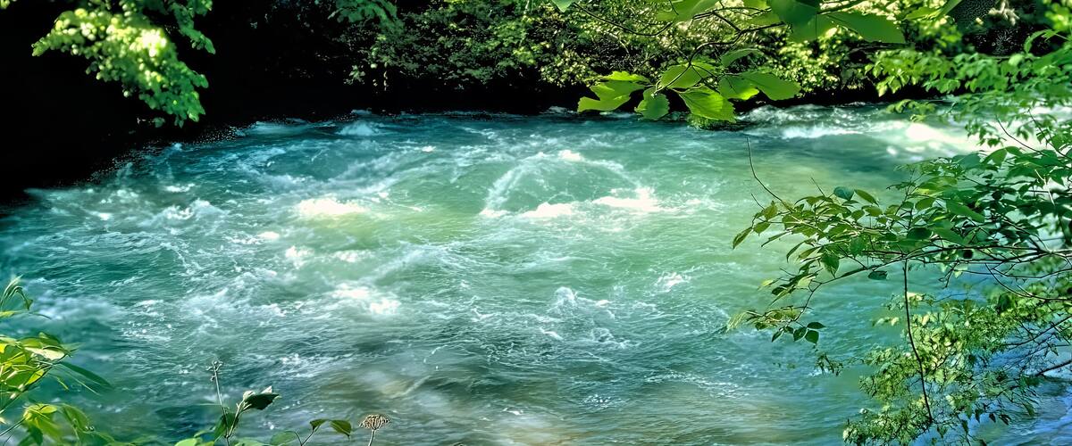 Greer Spring Missouri Ozarks