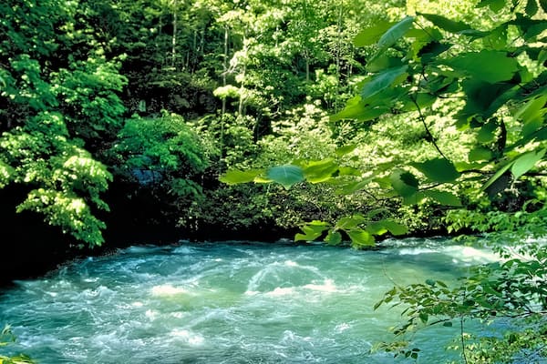 Greer Spring Missouri Ozarks