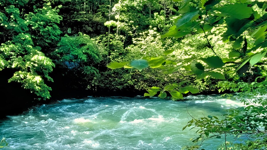 Hidden Waters Nature Park