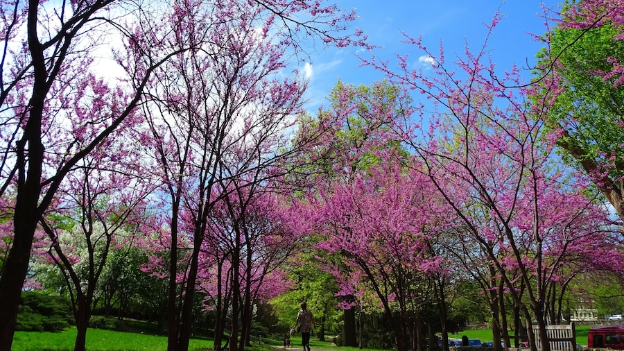 North America, United States, Missouri, Kansas City, Southmoreland Park next to the Nelson-Atkins Art Museum