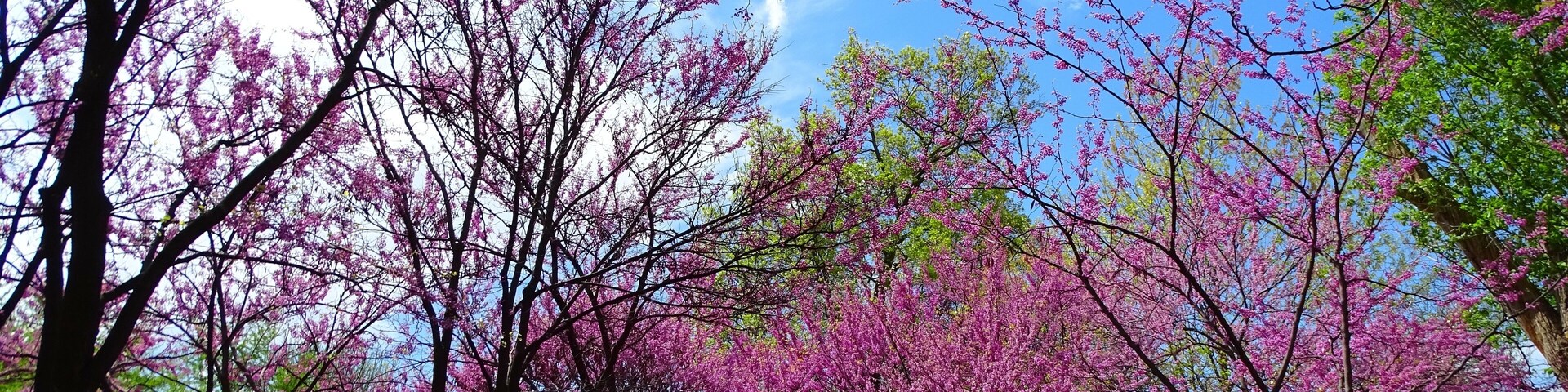 North America, United States, Missouri, Kansas City, Southmoreland Park next to the Nelson-Atkins Art Museum